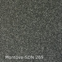 Montova-SDN 269